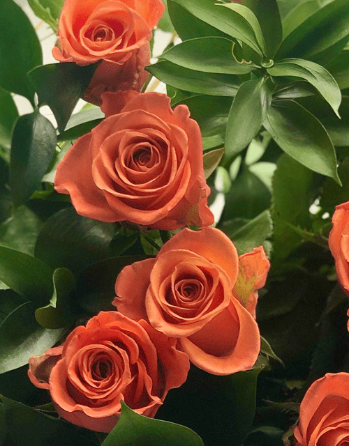 Orange Rose Bouquet - Impala Online