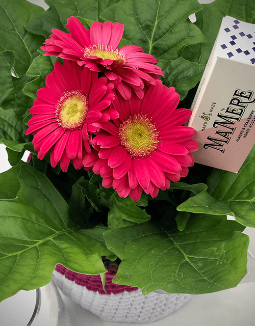 Pink Gerbera and Yankee Candle - Impala Online