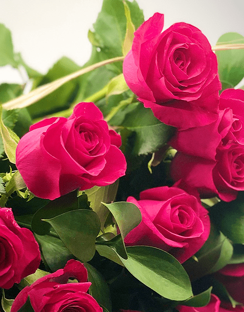 Pink Rose Bouquet - Impala Online