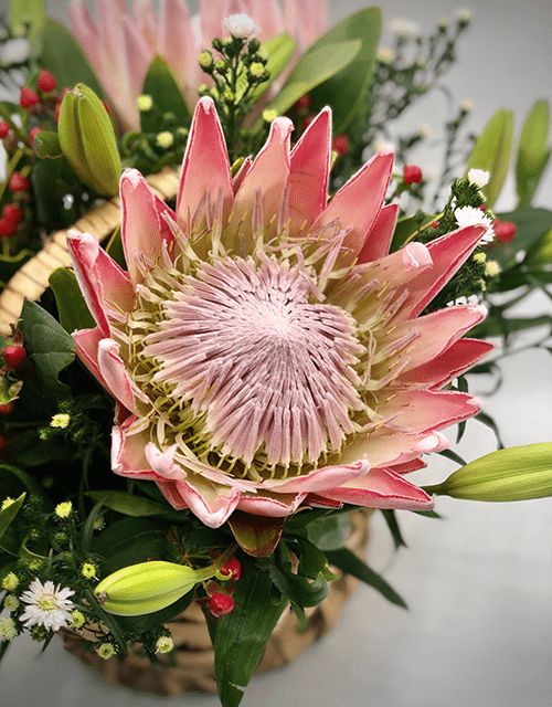 Protea Basket Arrangement - Impala Online