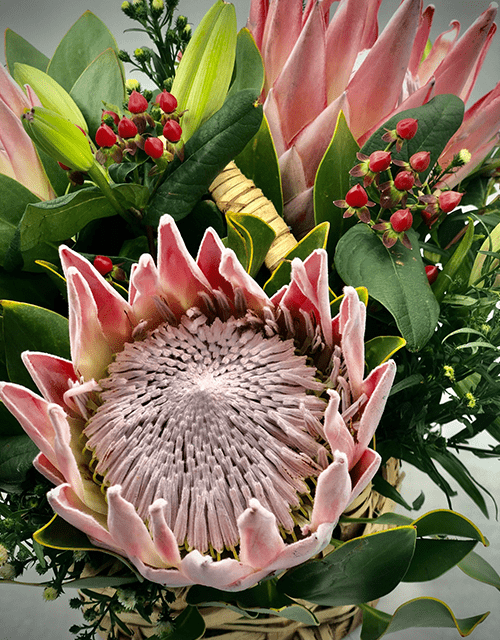 Protea Basket Arrangement - Impala Online