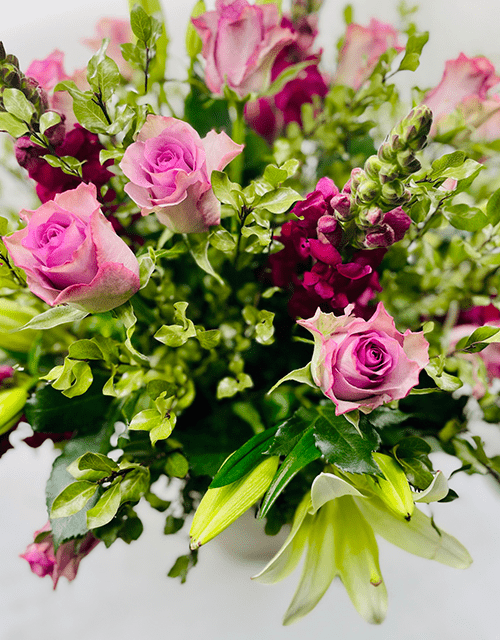 Purple Rose Perfection - Impala Online