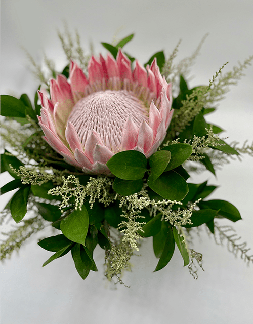 Stunning King Protea Arrangement - Impala Online