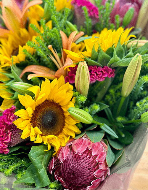 Sunflower and Protea Mixed Bunch - Impala Online