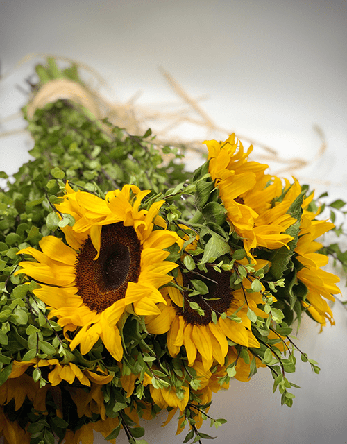 Sunshine Sunflower - Impala Online