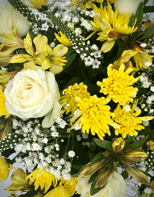 Yellow Posy Arrangement - Impala Online