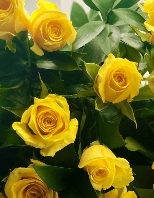 Yellow Rose Bouquet - Impala Online